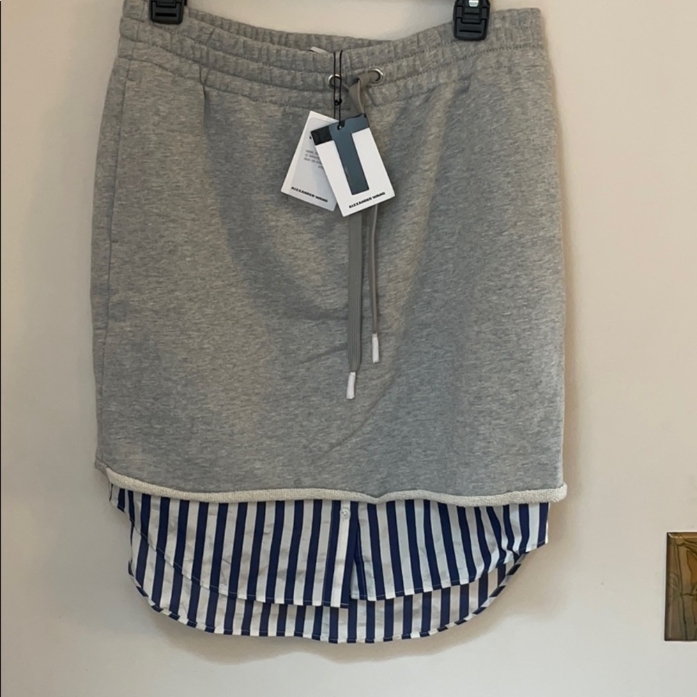 Alexander wang skirt